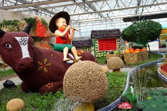 創意農業為休閑農業和鄉村旅游增添新活力