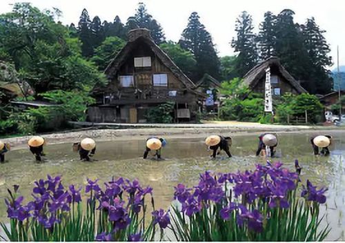 ▍鄉村農業休閑觀光其實很簡單