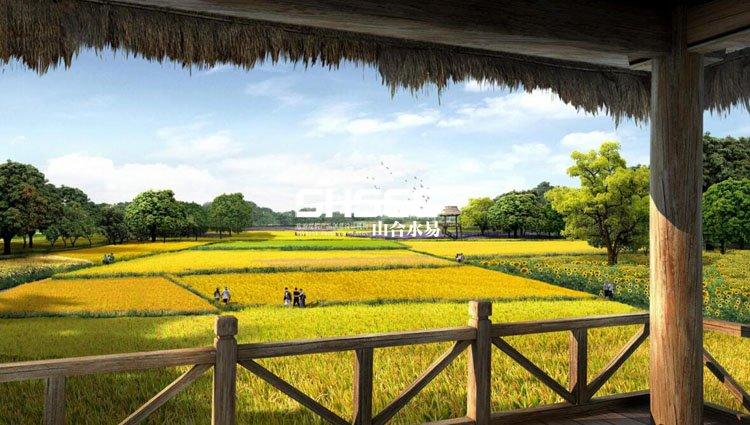 什么地方適合做休閑農業與鄉村旅游?