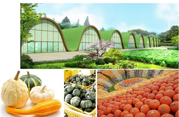 山西省忻州市保德縣楊家灣鎮李家峁村及南河溝鄉項目類型:現代農業總