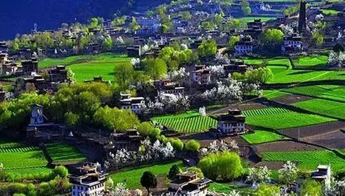 高考地理?？嫉男蓍e農業的7大模式30種類型|觀光旅游|文化游