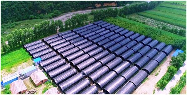 鳳縣農業農村局開新局展新貌譜新篇鳳縣農業招商引資項目建設實現