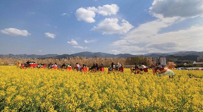 十里竹溪休閑農業觀光園