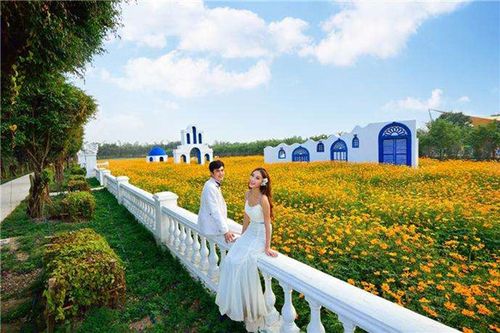 創行合一休閑農業與鄉村旅游規劃網