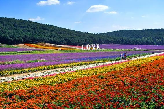 休閑農業旅游規劃