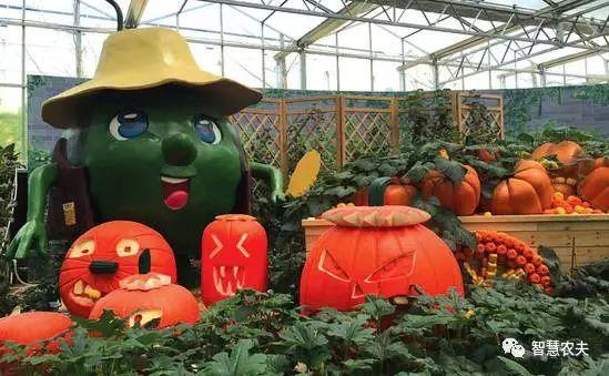 【觀光農業】以蔬菜為主題的農業觀光園,趣味滿滿!