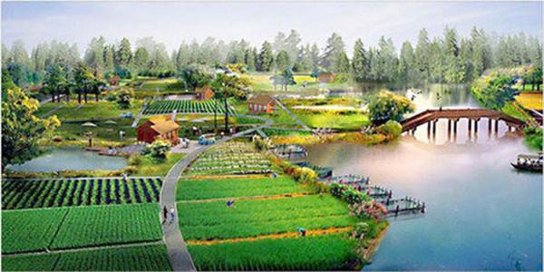 集農業生產,旅游觀光為一體的生態休閑農業