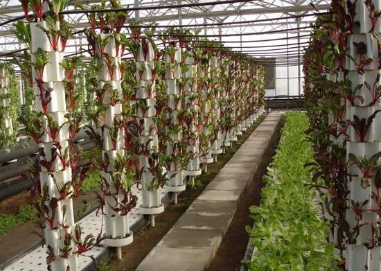 休閑農業該怎樣申報補貼?哪些項目補貼多?