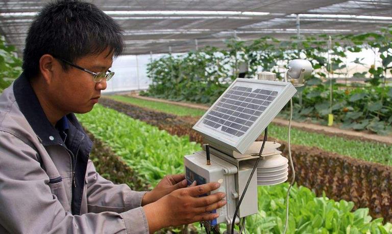 智慧農業項目規劃建設農業云系列產品,在推進全省"智慧大棚"規?；? class=