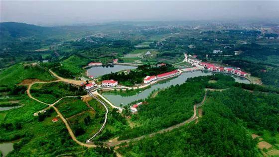 觀光休閑農業旅游項目策劃,告訴你如何經營農場!