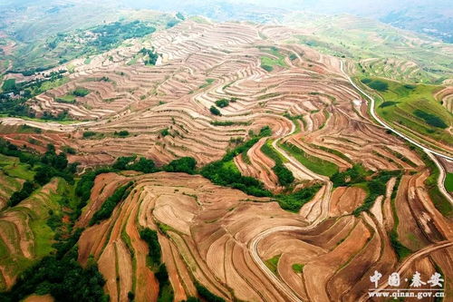 秦安縣依托農(nóng)業(yè)綜合開發(fā)項目助力精準扶貧