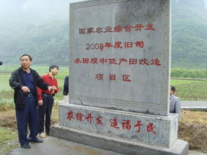 來鳳縣舊司鄉(xiāng)土地治理項目順利竣工