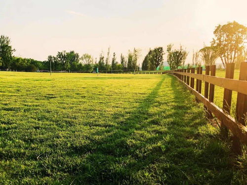 國家鄉(xiāng)村振興局成立,收好了這23項可申請補貼項目