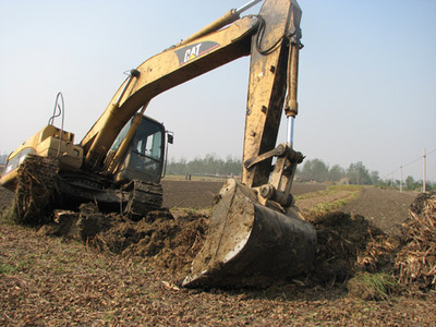 張山子鎮加緊實施農業項目開發(圖)--棗莊大眾網