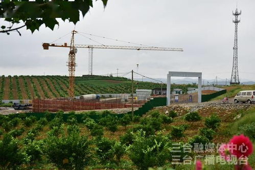 喜迎黨代會 我縣農(nóng)業(yè)發(fā)展生機蓬勃