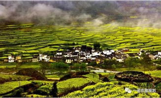 旅游 農業 將大有可為 關于做好2018年農業生產發展等項目實施工作的通知 出臺