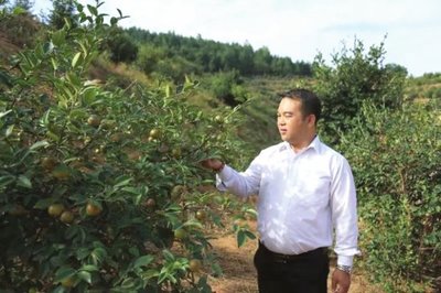 衡陽80后小伙回鄉創業,千畝荒山變身生態農業基地