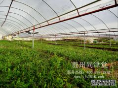 這樣的食物不能少,每天吃點更 逍遙