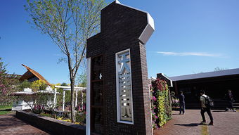 江蘇海安 玫瑰花鋪就農(nóng)民致富 芬芳之路