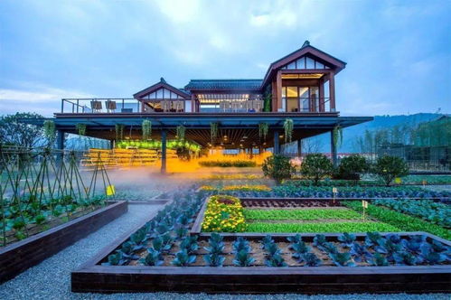 2021年做 文旅 農(nóng)旅 項目可以申請20類補貼清單,請收好