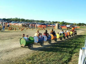 親子農業要如何運營和發展