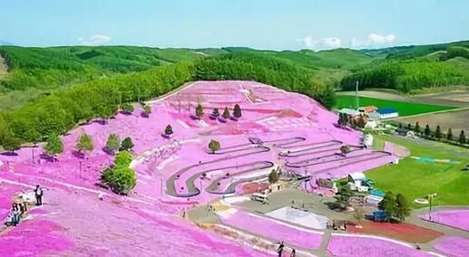 農業休閑項目開發的關鍵有兩個落點(親子、工作)